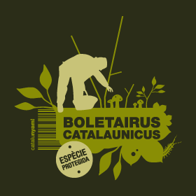Boletairus Catalaunicus